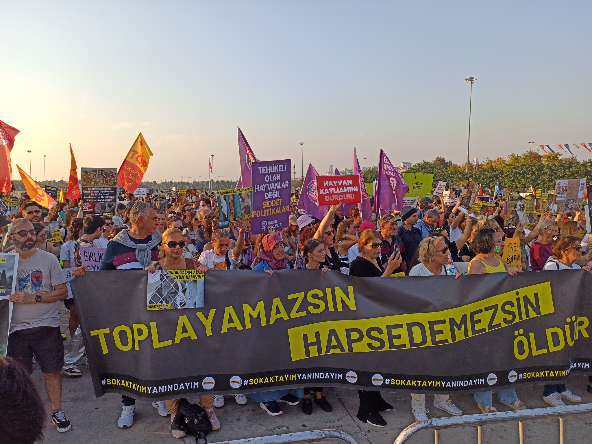 Sahipsiz hayvanların hakları için Maltepe'de miting düzenlendi